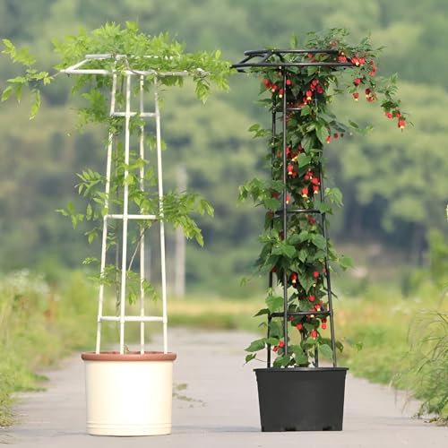 Parasol en treillis de jardin – Support de plantes grimpantes de 2,3 m pour vignes, fleurs, tomates, concombres et légumes – Tour robuste pour plates-bandes surélevées (blanc)