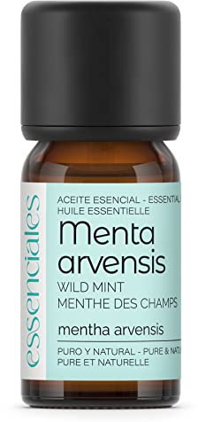 Huile essentielle de Menthe des champs 100% pure 10 ml - Mentha Arvensis - Diffusion et aromathérapie