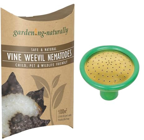 Vine Weevil Nematodes Treats 100 sq.m with Coarse Watering Can Rose