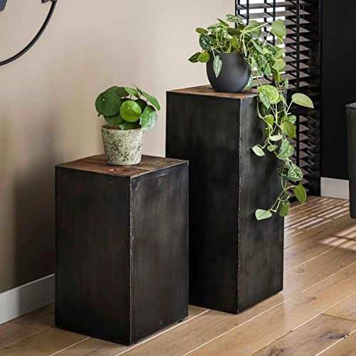 RINGO-Living Massivholz & Metall Pflanzen Tisch, Industrial Pflanzen Hocker, Blumentopf Ständer für Ihr Wohnzimmer, Pflanztisch Metall & Holz, eckige Pflanzenständer Säule, Blumenständer Vintage