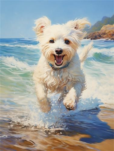 Hund Malen Nach Zahlen Erwachsene, Strand Malen Nach Zahlen Kinder Klein 60x90cm, DIY Set Erwachsene Handgemalt Leinwand Ölgemälde, Acrylfarben mit 3 Set Pinseln, Zimmer Deko Aesthetic Geschenke -Y696