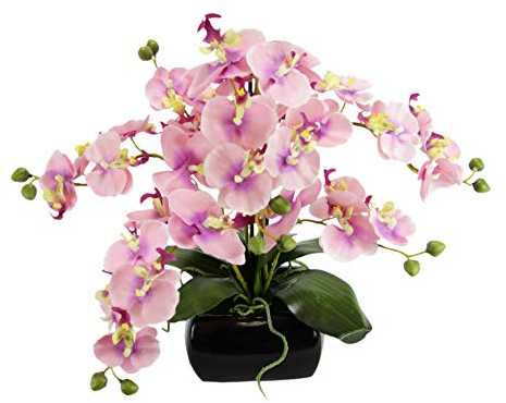 Kunstblume Schmetterling Orchidee 40cm mit Blätter und Luftwurzeln in Schale aus Keramik Künstliche Blume Kunstorchidee Phalaenopsis mit Übertopf Kunstpflanze Hochzeit Deko Seidenblume Real Blüte