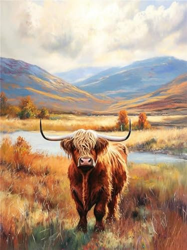 Hochlandrinder -Malen nach Zahlen für Erwachsene, DIY digitales Ölgemälde Set auf Leinwand mit Pinseln und Acrylpigment, Teenager Geschenkideen Artwork für Heimdekoration, 45x60cm (ohne Rahmen) H-104