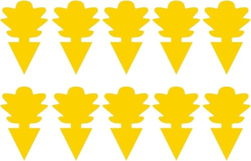 Confezione da 40 trappole adesive per moscerini e moscerini per la frutta e la mosca per più insetti, controllo delle piante