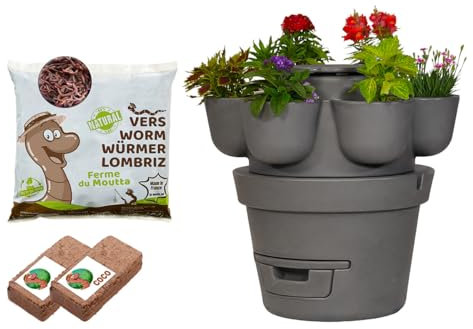 Moutta | WORMgarden Grau 1 Pflanzgefäße + 250 g Kompostwürmer | Vertikaler Gemüsegarten mit integriertem Wurmkomposter | Legen Sie Ihren Gemüsegarten an und recyceln Sie Ihren Abfall