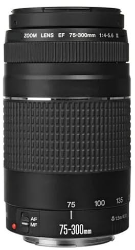 Compatible for Canon 550D 600D 700D 750D 760D 1300D 60D 70D 80D 6D T6 T3i T5i EF 75-300mm F/4-5.6 III Teleobjetivo
