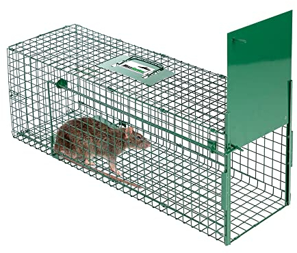 MaxxGarden Trampa para Animales - Trampa Profesional para Ratas - 80x25x30 cm - Trampa - Cebo para Ratones y Ratas - Reutilizable - Plegable - Verde