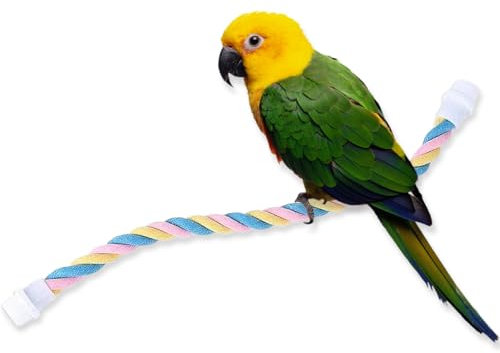 WeddHuis 1 Stück Vogel Seil, Papageienspielzeug, Spirale Vogelschaukel, Vogelkäfig Stand Pole Zubehör, Vogelspielzeug für Papagei, Wellensittich, Nymphensittich