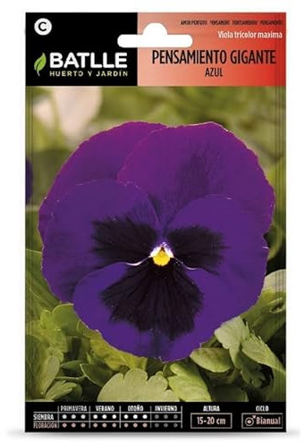SEMILLAS PENSAMIENTO AZUL