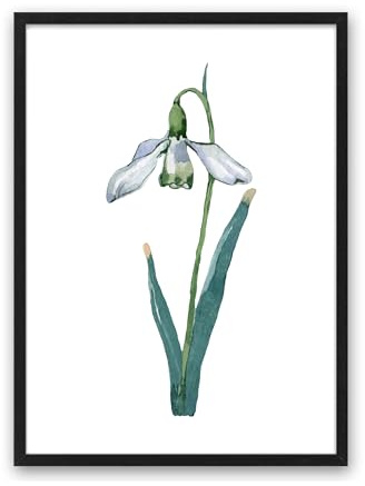 Din A4 Kunstdruck ohne Rahmen - Schneeglöckchen - Blume - Aquarell Natur Blüte Frühling Druck Poster Bild