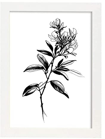Nacnic Rhododendron Black & White Flower Plant Botanical Poster Illustration Nordic Wall Art Poster Prints for Interior Design and Decoration, Size A4 with White Frames