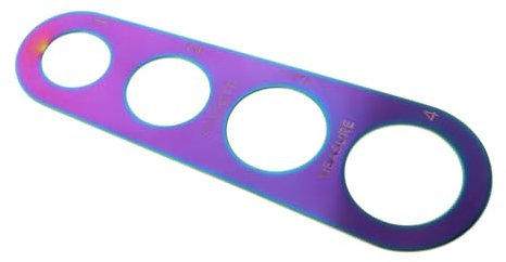 Amosfun Outil de Mesure de Pâtes en Acier Inoxydable Règle à Pâtes à 4 Trous pour Marmite à Spaghetti