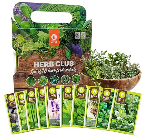 Herbs Grow Your Own Kits - Set of 10 Herb Seeds Collection - Variety Pack or Grow Fresh Herbs: Chives, Basil, Lavender, Coriander Seeds and More. Non GMO Herb Seeds for Planting, Gardening Gifts