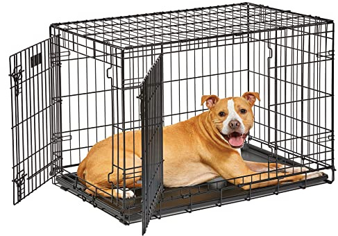 MidWest Homes for Pets Intermediate LifeStages 91 cm hopfällbar hundbur med dubbla dörrar, förbättrad säkerhet, inklusive läckagesäker bricka, avdelarpanel, handtag, gummifötter