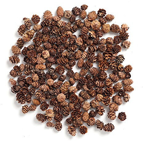 ByherYCZ Tannenzapfen, Mini Tannenzapfen in Bulk für das Handwerk, 227, 110 Stück Natur