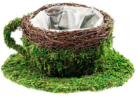 SuperMoss (55256) Deco Coffee Large Cup, 6, Fresh Green