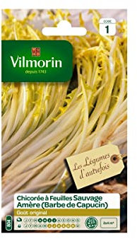 Vilmorin - Sachet graines Chicorée à feuilles sauvage Amère Barbe de capucin