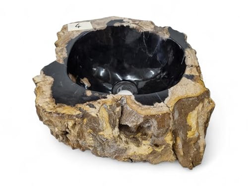 Lavabo in legno pietrificato – Lavandino in pietra naturale – Legno fossile con venature uniche e una varietà di colori – ogni pezzo è un pezzo unico assoluto (#4)