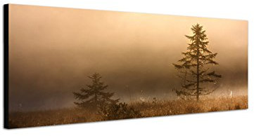 Augenblicke Wandbilder Keilrahmenbild Wandbild 150x50cm See Wiese Baum Nebel Dunst Morgengrauen