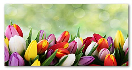 Tulup Picture Wall Art 100x50cm Image Printed Acryl Decorative Wall Picture Plastic/Acrylic Glass for Kitchen & Living Room Colorful tulips