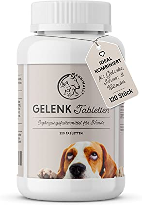 Gelenktabletten für Hunde mit MSM, Grünlippmuschel, Teufelskralle, Glucosamin & Hyaluron - 120 Gelenke Tabletten für Hunde - Hohe Akzeptanz beim Hund durch kleine Tabletten