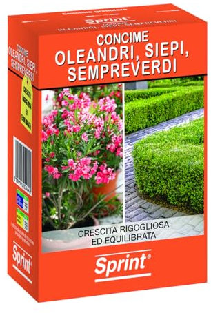 Flortis Sprint concime granulare inorganico per oleandri, siepi, sempreverdi, concime solido per crescita piante oleandri, gelsomino,viburno, concime fertilizzante da 1kg previene ingiallimento foglie