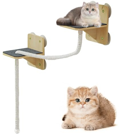 Wandmontierte Katzenablagen – Kletterwand innen mit , natürliche Treppen zum Spielen im Haus mit Fenstertür