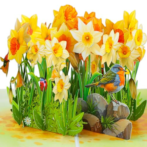 FaCraft 3D Daffodil Card with Robin & Ladybug, 6x8 Pop Up Narcissus Card for Mothers Day, New Beginnings & Rebirth, March Birthday, 10th Anniversary, Spring, Thank You, with Envelope and Blank Insert