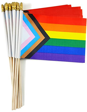 QQSD Progress Rainbow Gay Pride Lot de 12 mini drapeaux LGBT à main – Mât en bois massif avec dessus en lance