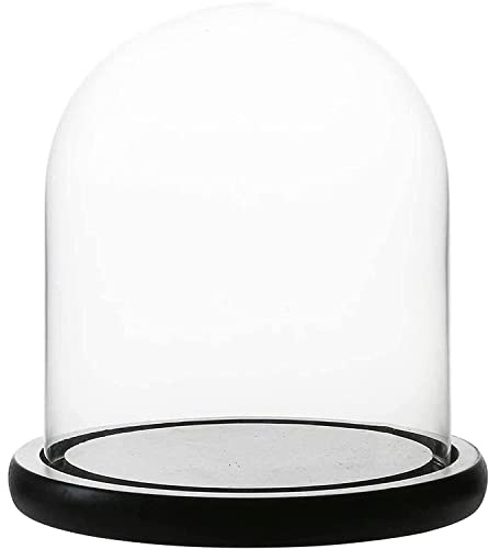 WHOLE HOUSEWARES Dekorative Glasvitrine - Glasglocke mit Schwarzem MDF Basis, Holzboden - Klarglas-Kuppel Tischaufsatz - Dekorativer Glasaufsatz