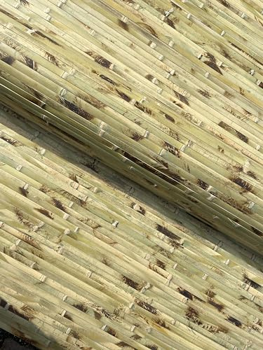 Nature LOUNGE Bambus Wandverkleidung - Exotischer Rollbelag aus echten Bambuslatten (Höhe: 150 cm / 1 Stk. = 1 Meter, Grün getigert)