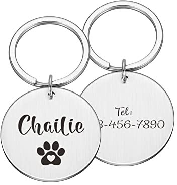 Haustier-ID-Tags Kundenspezifischer Name Adresse Haustier-Erkennungsmarken Katzenhalsband Haustier-ID-Erkennungsmarken Halsbänder Edelstahl-Katzenmarken-Zubehör, Silber, L 30 x 30 mm