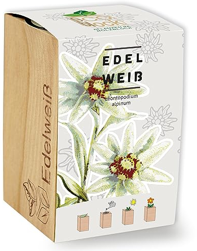 Feel Green ecoblock Edelweiß, Nachhaltige Geschenkidee (100% Eco Friendly), Grow Your Own/Anzuchtset, Pflanzen im Holzblock, Made in Austria, Holz