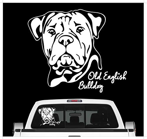 siviwonder Auto Aufkleber Old English Bulldog Portrait Bully Hund OEB Wilsigns Hundeaufkleber autoaufkleber Hund Folie Hundemotiv (weiß)