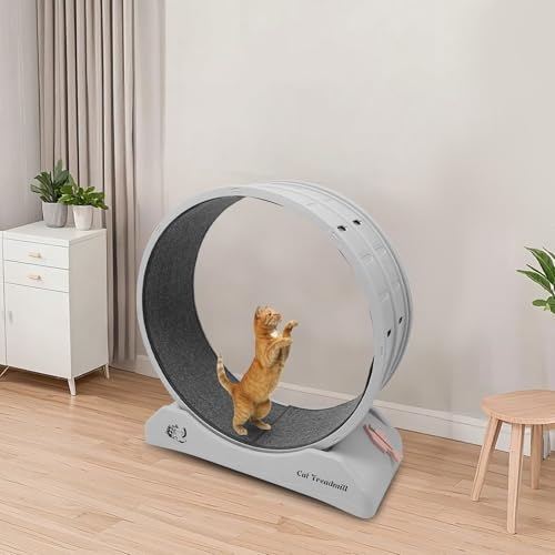 Gdetnysty Bicicletta per gatti con blocco con grande diametro della ruota, design senza cuciture, bordi lisci, 10 kg, 80 x 35 x 85 cm, per gatti e cani di piccola taglia in tutte le fasi