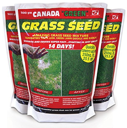 Canada Green 500g Grass Seed - Fast-Growing, Hard-Wearing Lawn Seed - Ideal for Shady Areas, Patch Repair, Reseeding & New Lawns