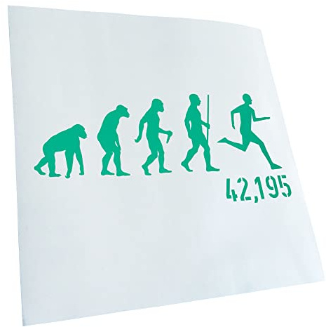 Kiwistar - Autocollant - IVII 195 évolution marathon - turquoise - G24 - Pour voitures, vélos, véhicules, motos, cyclomoteurs, tuning, vitres arrière