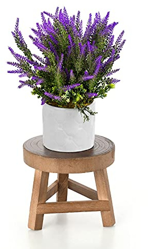 NZXVSE Mini Holzhocker Display Stand - Runde Holz Deko Blumenregal Bonsai Rack Hocker, Topfregal Pflanzer Stützen Dekorativ für Haus, Garten, Terrasse