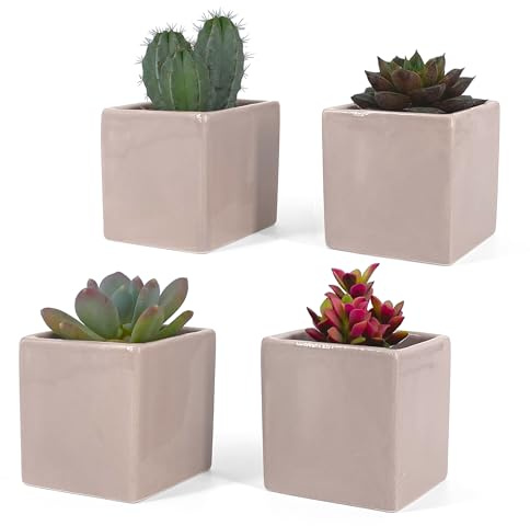 Vimin Box Set 4 pcs, Vasi Quadrati in Ceramica, per Interni, Grigio Tortora, per Piante Grasse, Fiori, Bonsai, Cactus, Decorazione Casa, Scrivania, Tavolo, Ufficio. (XS tortora)