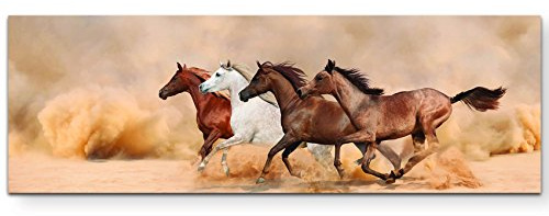 Leinwandbilder | Bilder Leinwand 120x40cm Laufende Pferde in der Steppe