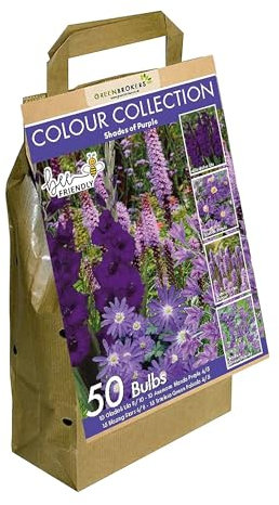 GreenBrokers Colour Collection Summer Flowering Bulbs Purple, Mixed Varieties (Pack of 50) Bee & Butterfly Friendly