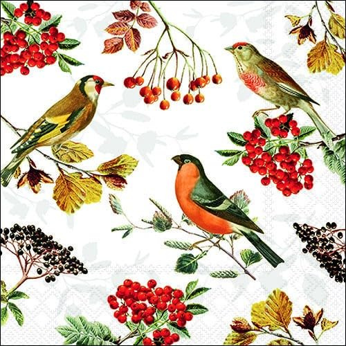 20 Servietten Herbst Vögel an Zweige mit Berren als Tischdeko. Papierservietten mit Motiv. Auch für Decoupage und Serviettentechnik 33x33cm