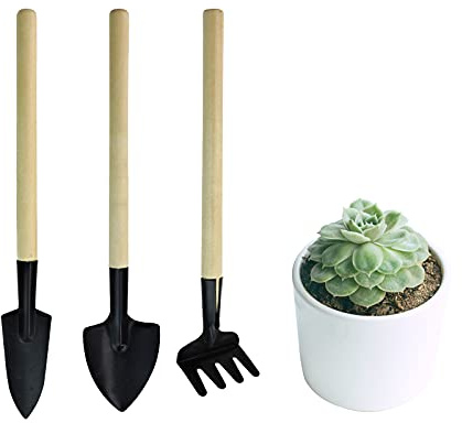 Andiker Lot de 3 mini outils de jardinage portables pour le jardin, râteau de jardinage miniature, truelle et pelle pour semis, bonsaï, plantes grasses, herbes, terrariums et plantation
