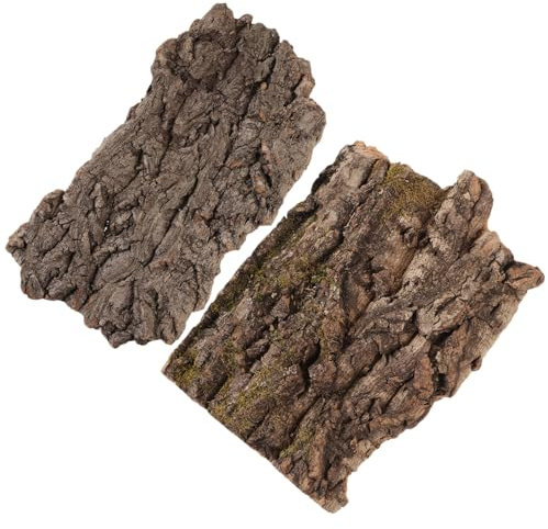 minkissy 6pezzi Piattaforma Per Climbing Reptile Con Riparo Decorazione Per Terrario Per Lucertole e Accesorio Per Allevamento Di Rettili