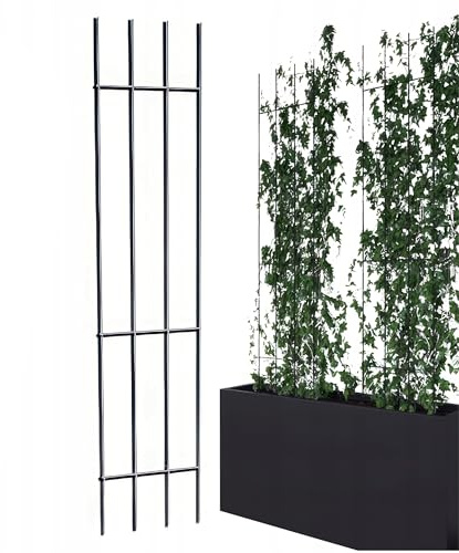 Kapaga - Rankgitter - Rankhilfe Garten - Staudenhalter - Blumenhalter | Rankengewächs Pflanzenstütze - Blumenstütze - Staudenstütze - Rankhilfe Strauchhalter (Schwarz, 150 cm)