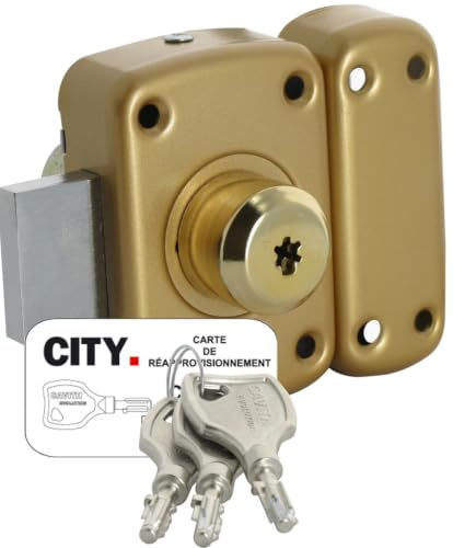 Verrou CAVITH modèle 4116 à cylindre double - ISÉO