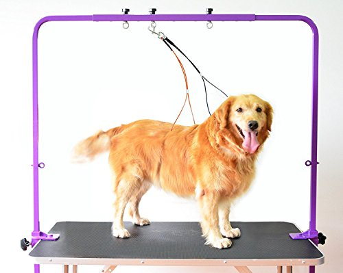 Gravitis Pet Supplies Overhead Pet Grooming Arm with Clamps and Harness – Suitable for use with Dog Grooming Table - Purple