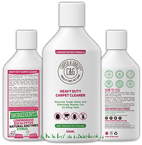 Heavy Duty Pest Carpet Cleaner Concentrate 500ml | Natural Cruelty Free Enzyme Blend | Effective Against Washing Away Blood Sucking Pest Bug From Dirty Carpets