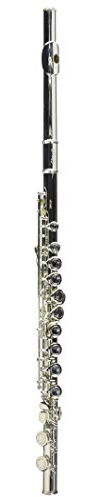 Stagg WS-FL211S C-Querflöte mit Softcase versilbert