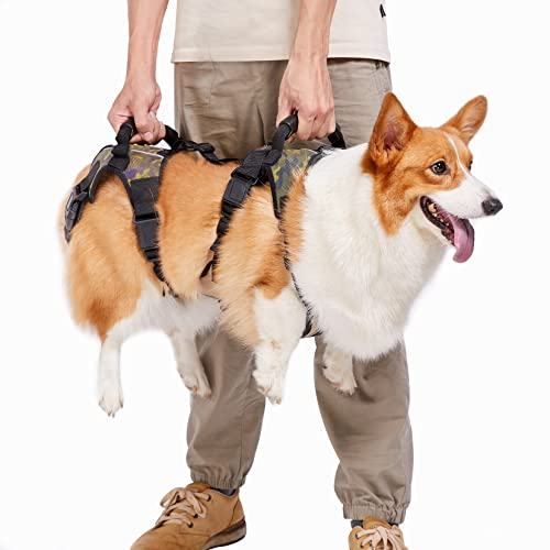 Coodeo Hunde-Aufzugsgeschirr, Ganzkörperunterstützung und Erholungsschlinge, Haustier-Hinterbeinstütze, Rehabilitationsweste, Hundetrage für ältere Hunde mit Gelenkverletzungen (L)